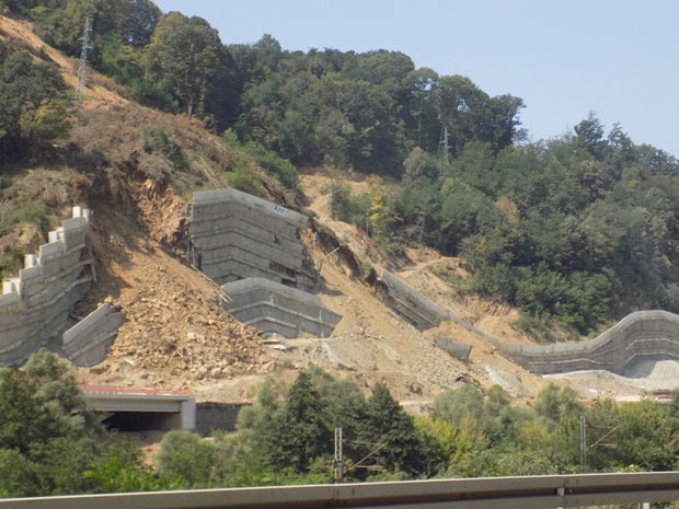 Крађа шуме угрожава радове на Коридору? 